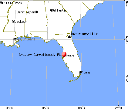 Greater Carrollwood, Florida map