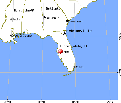 Bloomingdale, Florida map