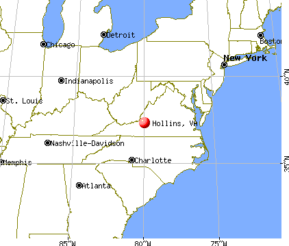 Hollins, Virginia map