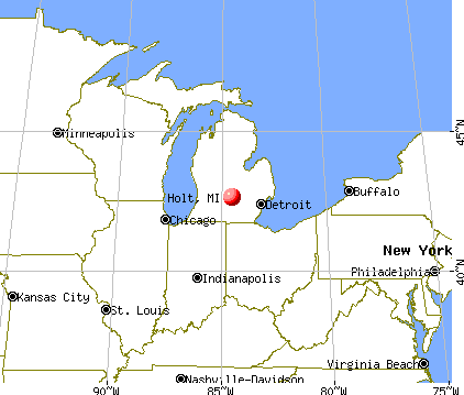 Holt, Michigan map