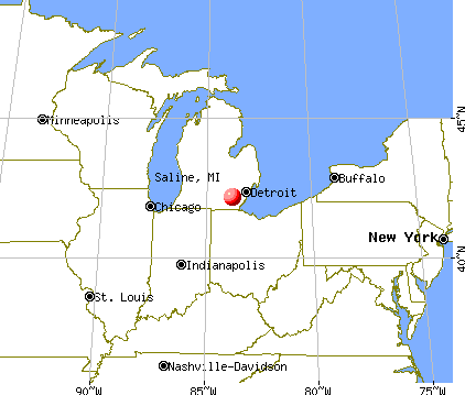 Saline, Michigan map