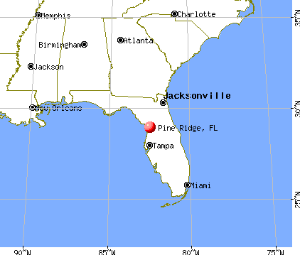 Pine Ridge, Florida map