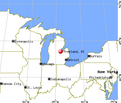 Freeland, Michigan map