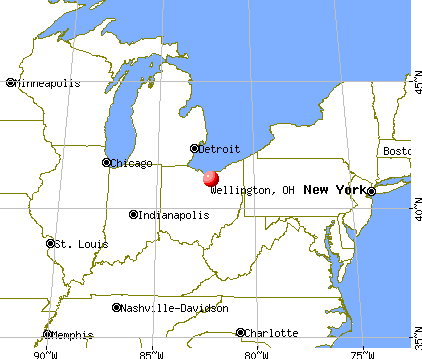 Wellington, Ohio map