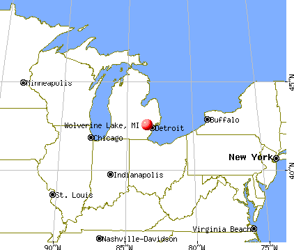 Wolverine Lake, Michigan map