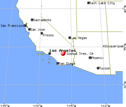 Joshua Tree, California map