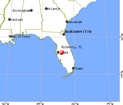 Mulberry, Florida map