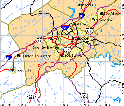 Cave Spring, VA map
