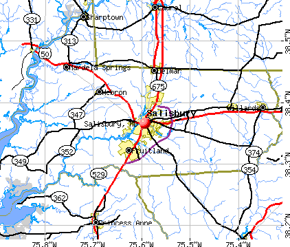 Salisbury, MD map