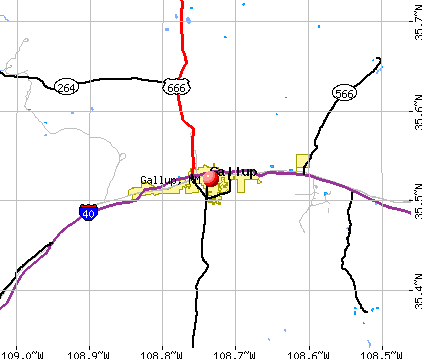 Gallup, NM map
