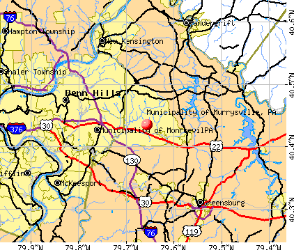 Municipality of Murrysville, PA map