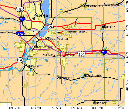 Morton, IL map