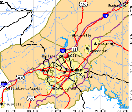 Hollins, VA map