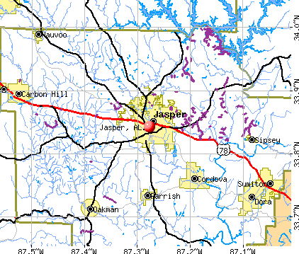 Jasper, AL map