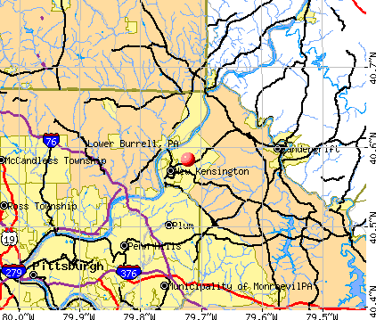 Lower Burrell, PA map