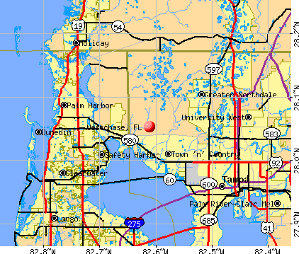Westchase, FL map