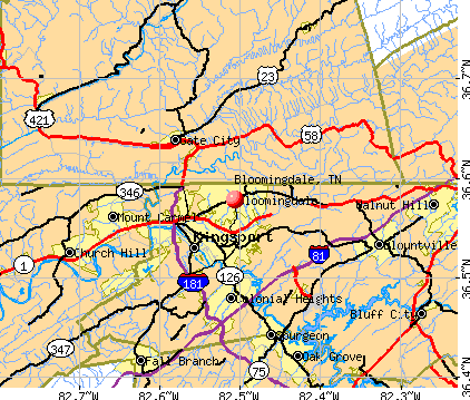 Bloomingdale, TN map
