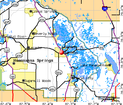 Inverness, FL map