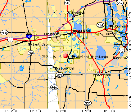 Medulla, FL map