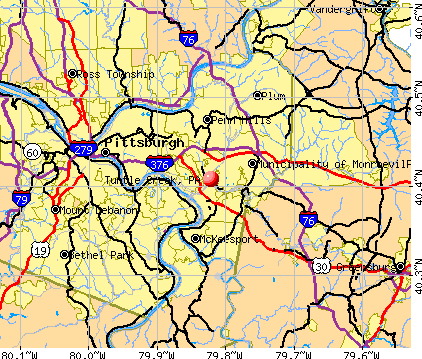 Turtle Creek, PA map