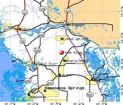 Pine Ridge, FL map