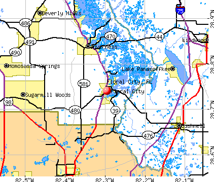 Floral City, FL map