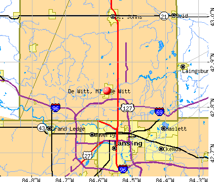 De Witt, MI map