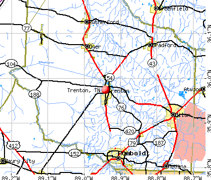 Trenton, TN map