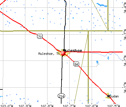 Muleshoe, TX map