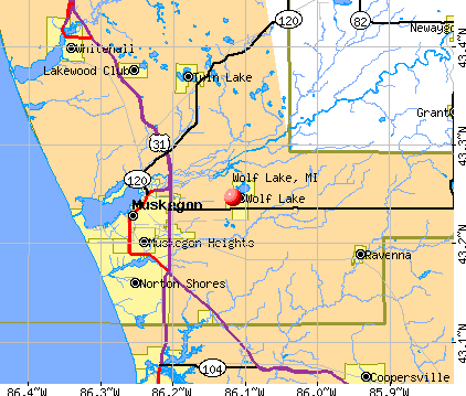 Wolf Lake, MI map
