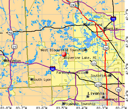 Wolverine Lake, MI map