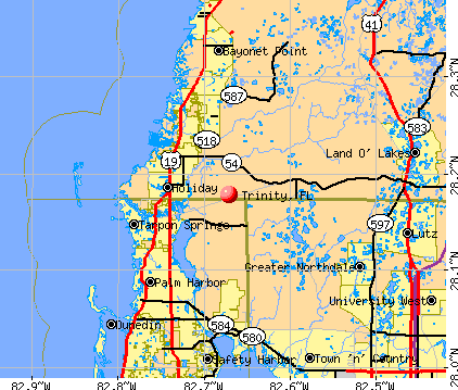 Trinity, FL map