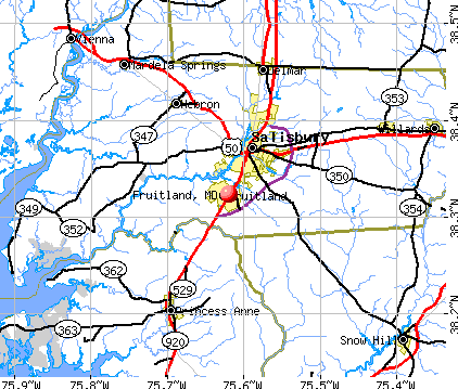 Fruitland, MD map