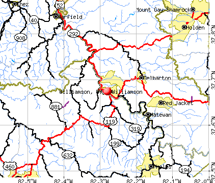 Williamson, WV map
