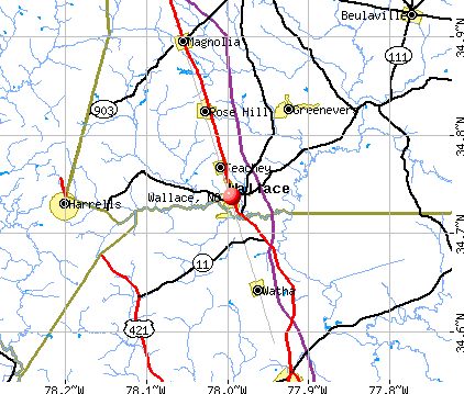 Wallace, NC map