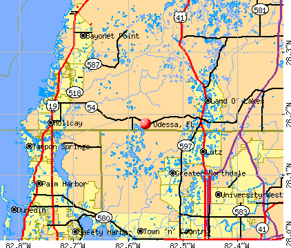 Odessa, FL map