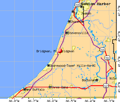 Bridgman, MI map