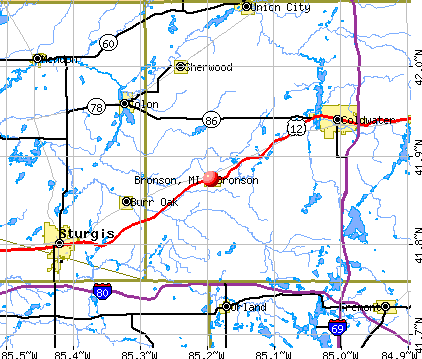 Bronson, MI map