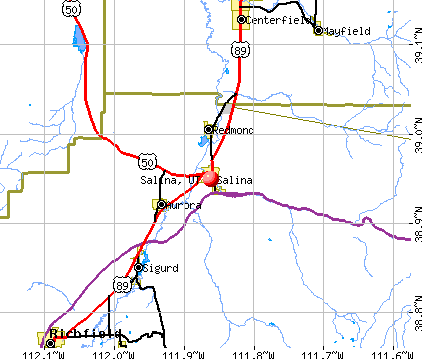 Salina, UT map