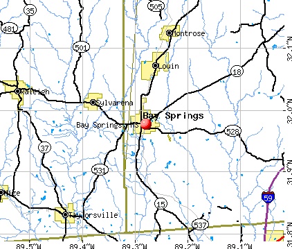 Bay Springs, MS map
