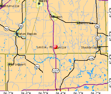 Leslie, MI map
