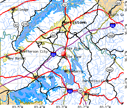 White Pine, TN map