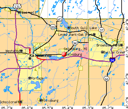 Galesburg, MI map