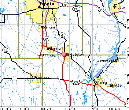 Nettleton, MS map