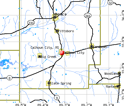 Calhoun City, MS map