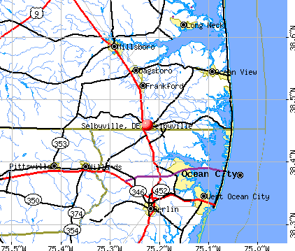Selbyville, DE map