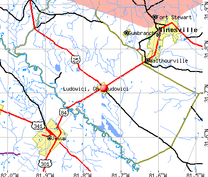 Ludowici, GA map