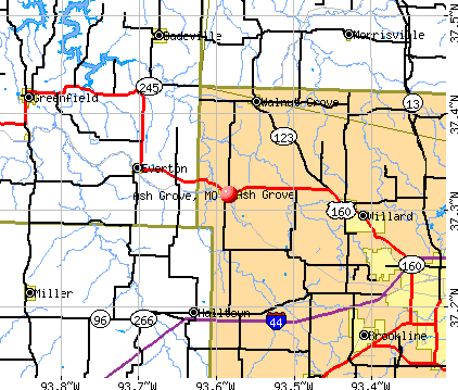 Ash Grove, MO map