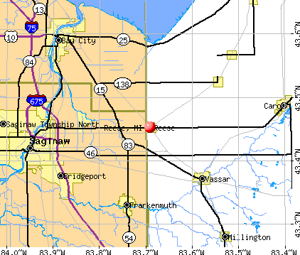 Reese, MI map