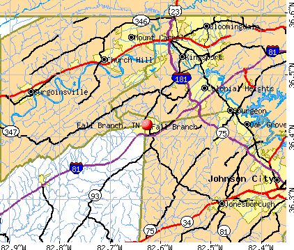 Fall Branch, TN map